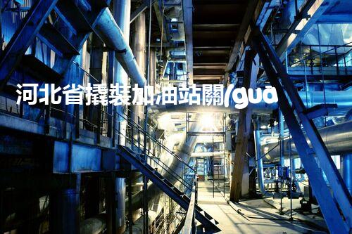 河北省撬裝加油站關(guān)鍵技術(shù)突破！化工廠拆除工程的新方法探索？